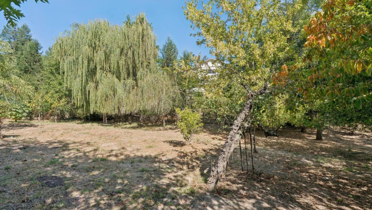 033-1221-beattie-lane.94432.p3k.033